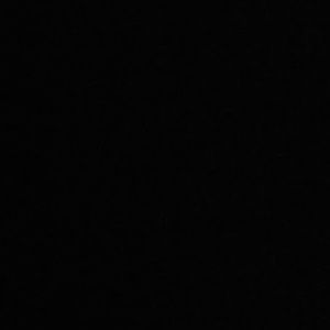 Meet your Posher, Hazel